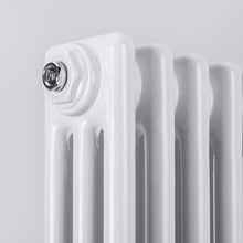 Load image into Gallery viewer, Cast Iron Style Vertical Tall Traditional 2-3 Column Designer Radiators Central Heated Rads