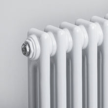 Load image into Gallery viewer, Cast Iron Style Vertical Tall Traditional 2-3 Column Designer Radiators Central Heated Rads