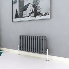 Load image into Gallery viewer, Cast Iron Style Radiators Horizontal Traditional 2-3Column Designer Radiators