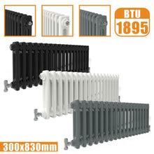 Load image into Gallery viewer, 2Column Traditional Cast Iron Style radiator Horizontal 300x830 White Anthracite Vintage Rads