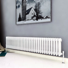 Load image into Gallery viewer, 300x1460 Horizontal,Traditional,radiators AICA rads