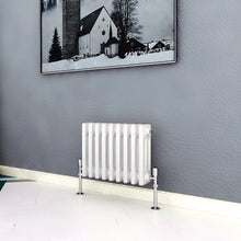 Load image into Gallery viewer, 300x425 Horizontal,Traditional,radiators AICA rads