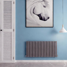 Load image into Gallery viewer, 600x1180 Horizontal,Oval Column,radiators AICA rads