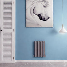 Load image into Gallery viewer, Horizontal Oval Radiators - Anthracite/White  - Double/ Single Panel
